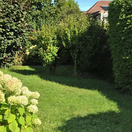 Lägenhet Bodenseeauszeit Ruhig Und Zentral