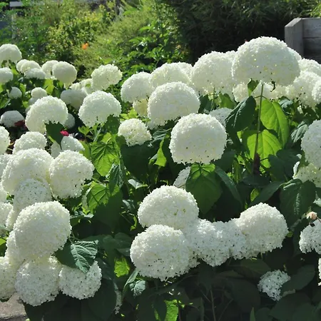 Bodenseeauszeit Ruhig Und Zentral