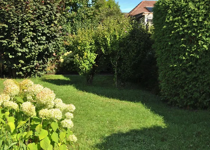 Lägenhet Bodenseeauszeit Ruhig Und Zentral