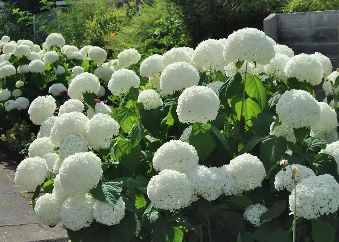 Bodenseeauszeit Ruhig Und Zentral